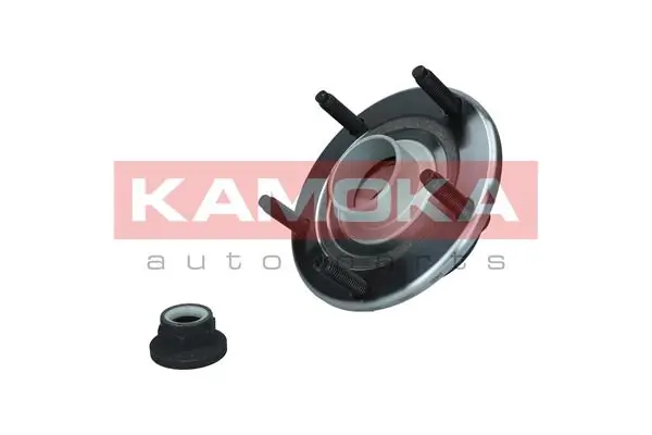 5500254 Kamoka Ступица задняя