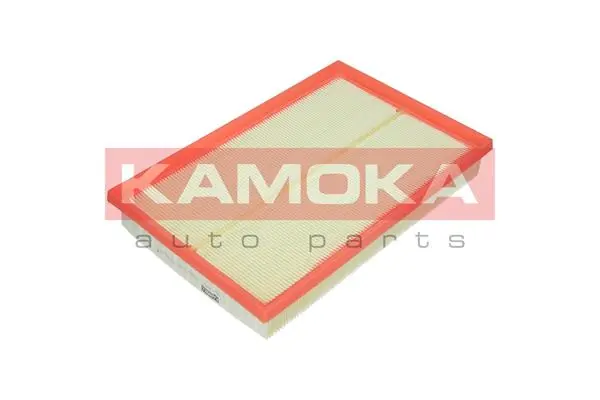 F203001 Kamoka