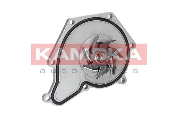 T0035 Kamoka Насос водяной