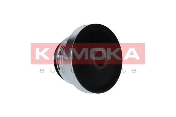 Polia do gerador Nissan Tiida SC11X