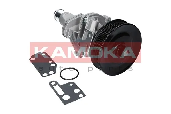 T0142 Kamoka Насос водяной