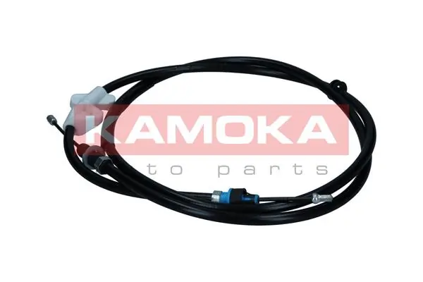 1190029 Kamoka