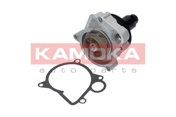 T0062 Kamoka Насос водяной