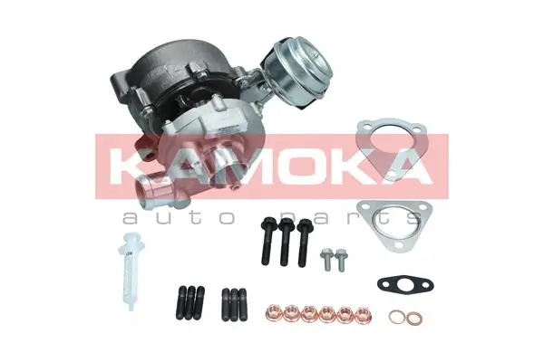 Купить 53039880193 Borg-Warner Турбоком