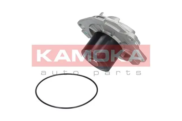 T0002 Kamoka Насос водяной