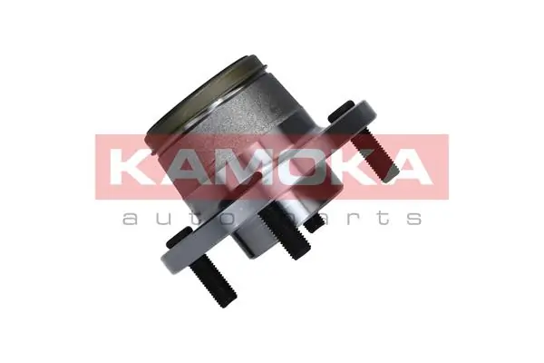 5500135 Kamoka Ступица задняя