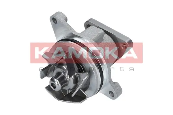 T0136 Kamoka Насос водяной