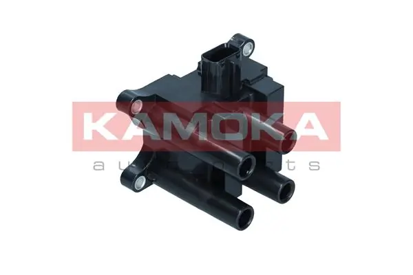 7120134 Kamoka