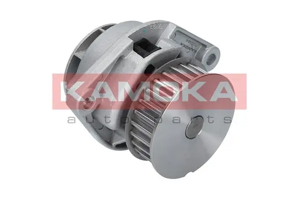 T0024 Kamoka Насос водяной