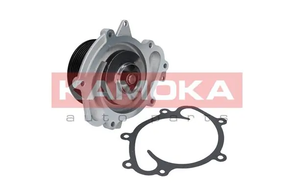 T0191 Kamoka