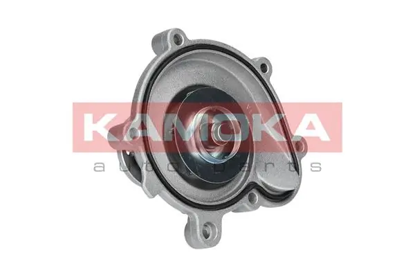 Купить T0194 Kamoka Насос охлаждения
