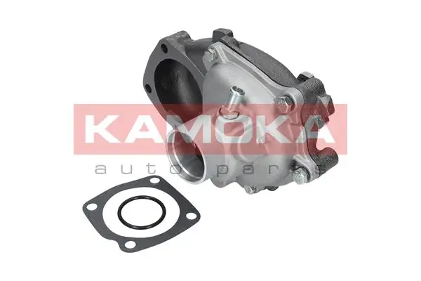 T0125 Kamoka Насос водяной