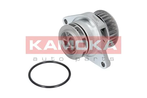 T0249 Kamoka Водяной насос охлаждения, с корпусом