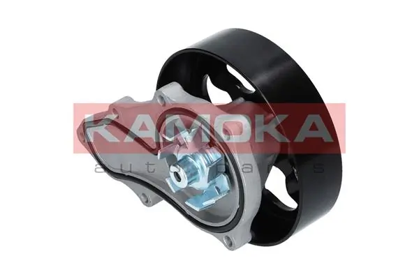 T0146 Kamoka Насос водяной
