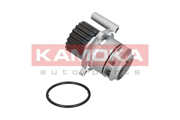 T0023 Kamoka Насос водяной