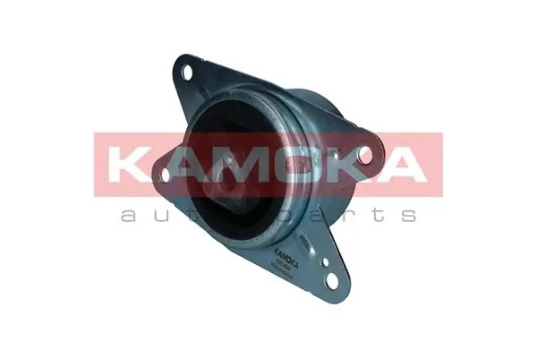 890494 Kamoka 
