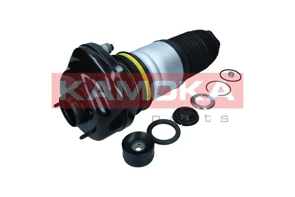 Купить 2079070 Kamoka Амортизатор задний, левый