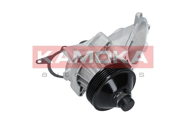 T0063 Kamoka Насос водяной