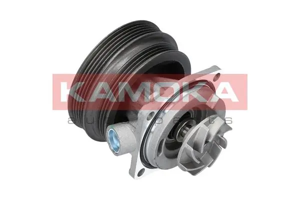 T0112 Kamoka Насос водяной