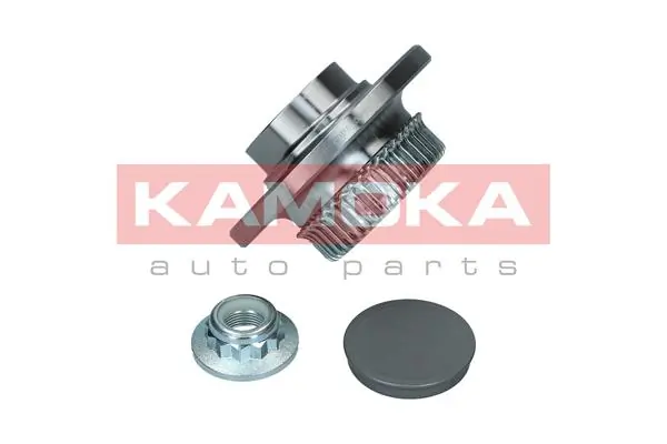 5500025 Kamoka Ступица задняя