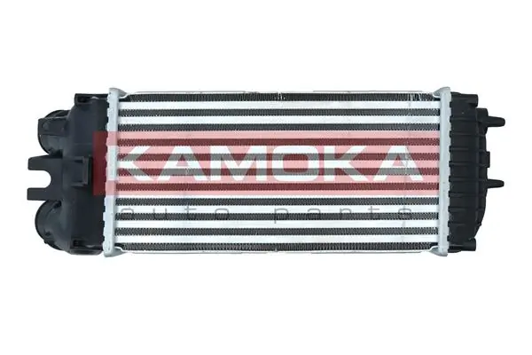 Radiador de intercooler Peugeot Partner 1 5F