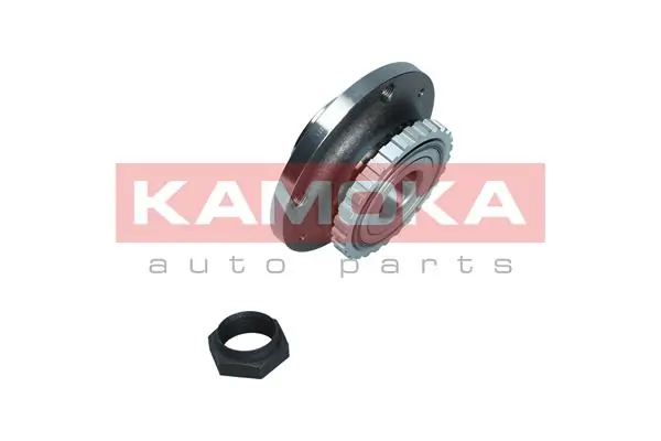 5500205 Kamoka Ступица задняя