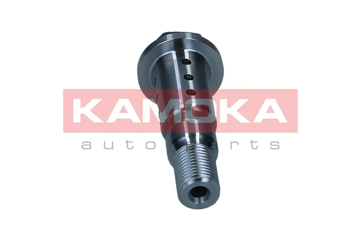 Клапан фазорегулятора KIA Rio 4