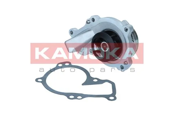 T0295 Kamoka Насос водяной