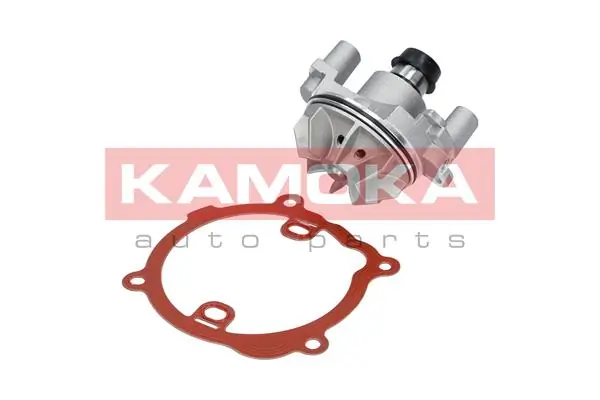 T0216 Kamoka Насос водяной