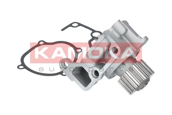T0170 Kamoka Насос водяной