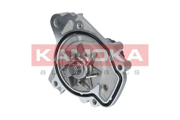 T0148 Kamoka Насос водяной