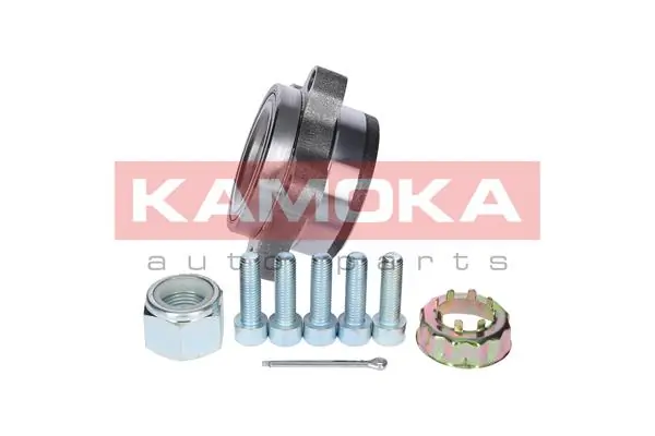 5500129 Kamoka Подшипник ступицы передней