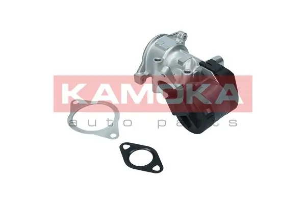 Válvula EGR de recirculação dos gases Peugeot 307 3H