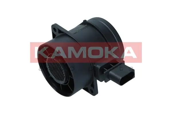 18043 Kamoka