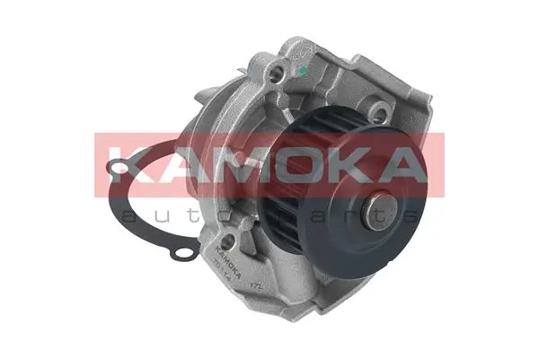T0114 Kamoka Насос водяной