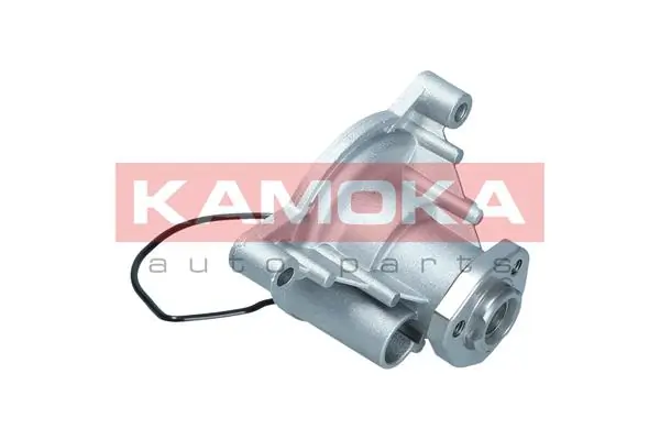 T0021 Kamoka Насос водяной