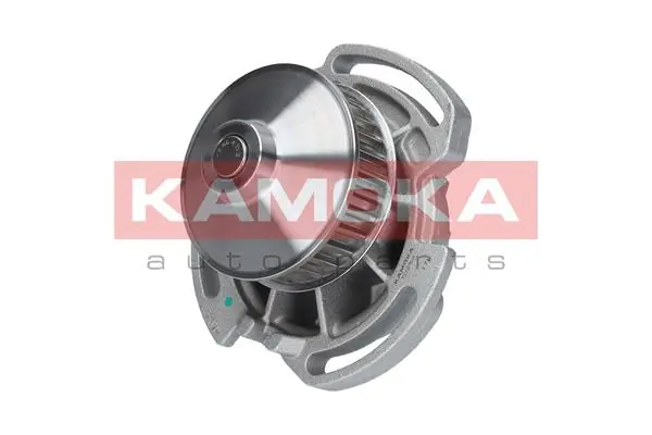 Помпа охлаждения Kamoka T0254 цена, от 25.43 USD