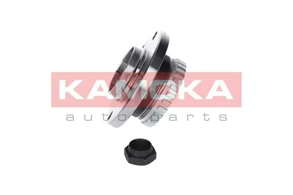 5500002 Kamoka Подшипник ступицы задней