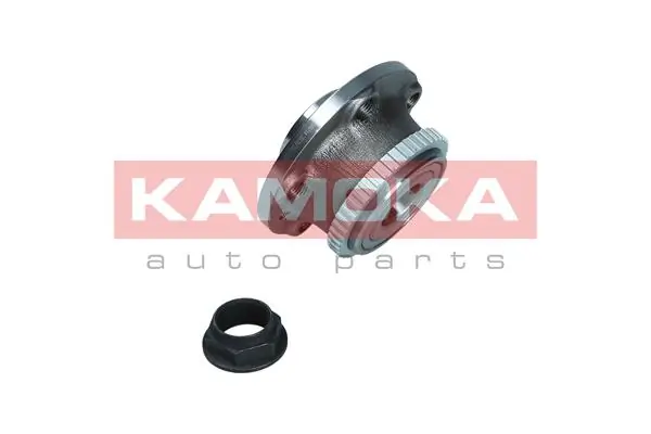 5500214 Kamoka Ступица задняя