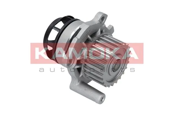 T0022 Kamoka Насос водяной