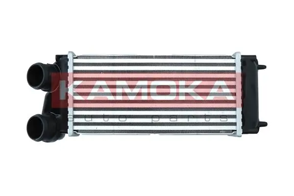 Radiador de intercooler Peugeot 307 3H