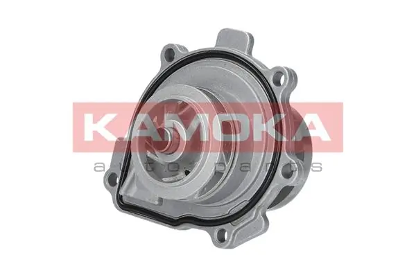 T0009 Kamoka Насос водяной