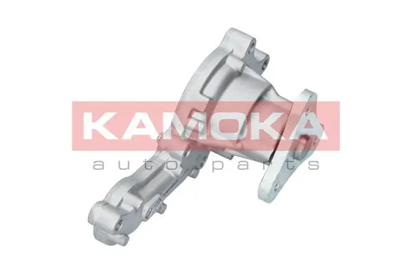 T0150 Kamoka Насос водяной