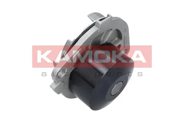 T0111 Kamoka Насос водяной