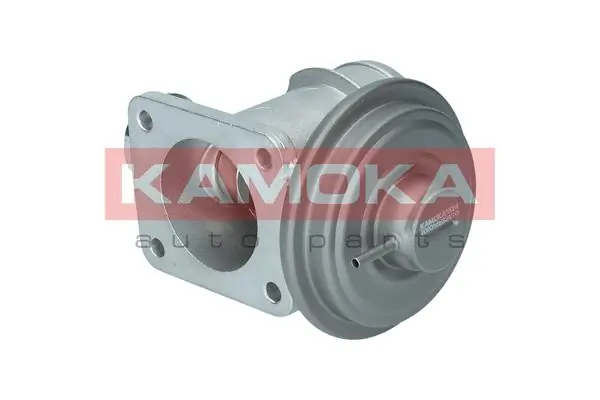 Válvula EGR de recirculação dos gases Land Rover Freelander 1 L314