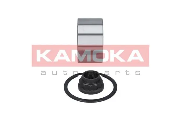5600029 Kamoka Подшипник ступицы передней