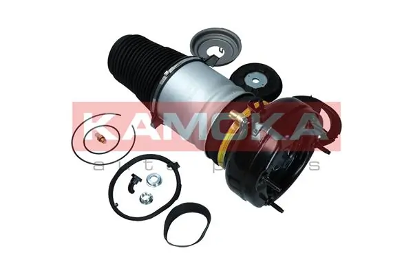  Kamoka 2079005 цена, от 279.36 USD
