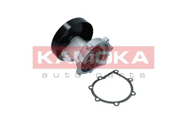 T0247 Kamoka Насос водяной