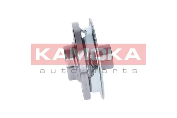 5500116 Kamoka Ступица колеса передняя