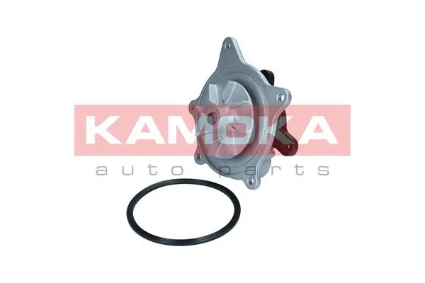 T0318 Kamoka Насос водяной
